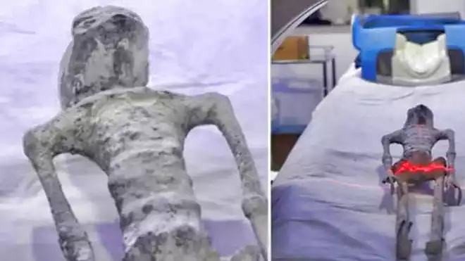 الحمض النووي لكائنات المكسيك الغريبة يكشف عن مفاجأة